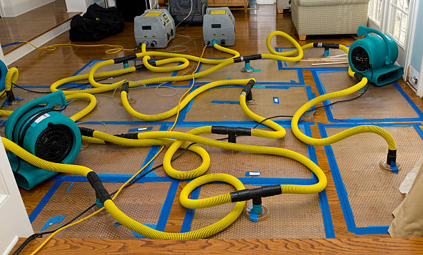Professional Water Extraction technician working in Brookings, OR